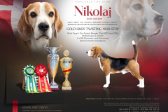 Nikolaj